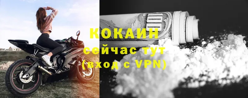 сколько стоит  Дмитровск  COCAIN VHQ 